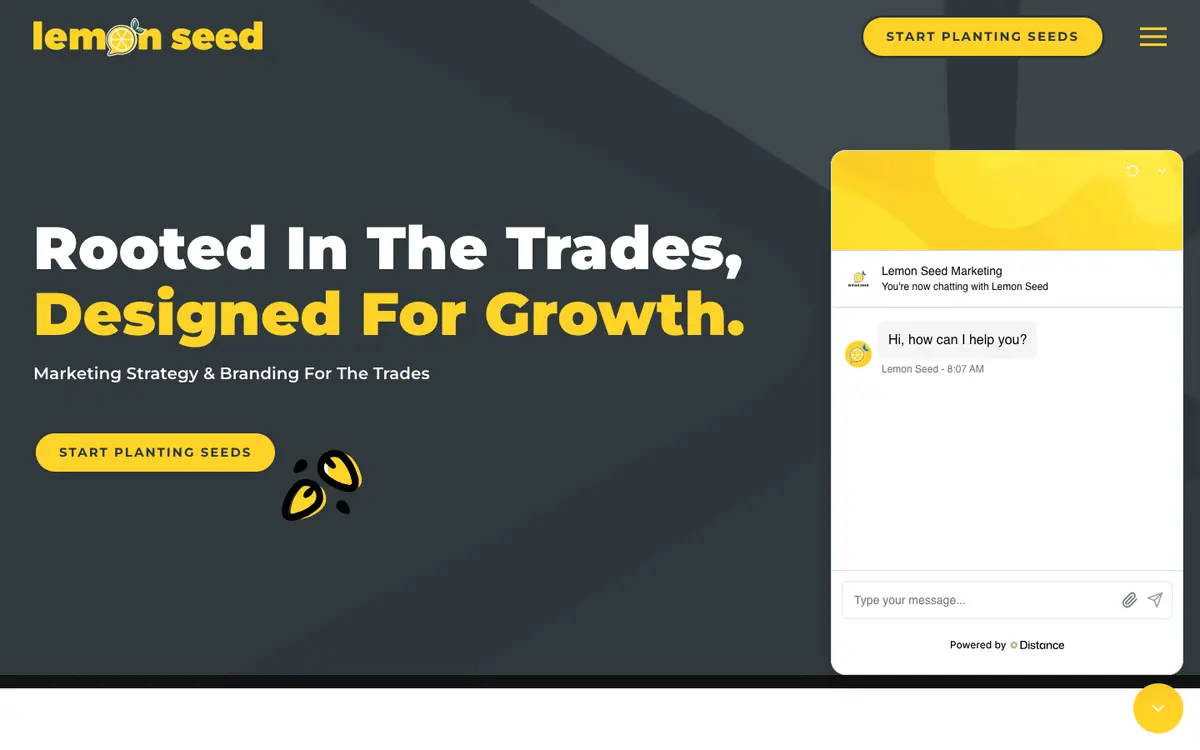Screenshot of Lemon Seed Marketing's homepage in 2026
