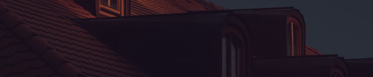 Dark rooftop with dormer windows at dusk
