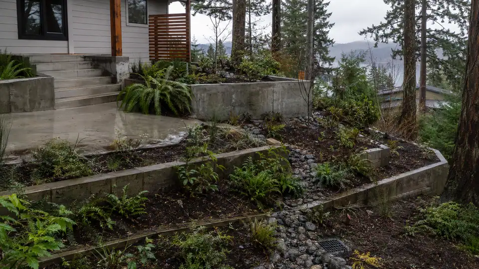 Drainage and slope stabilization on a wet Seattle hillside lot