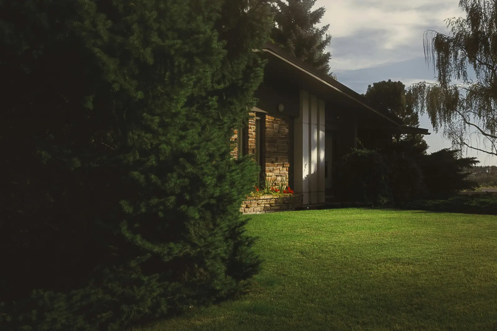 Fence installation - professional work example 3