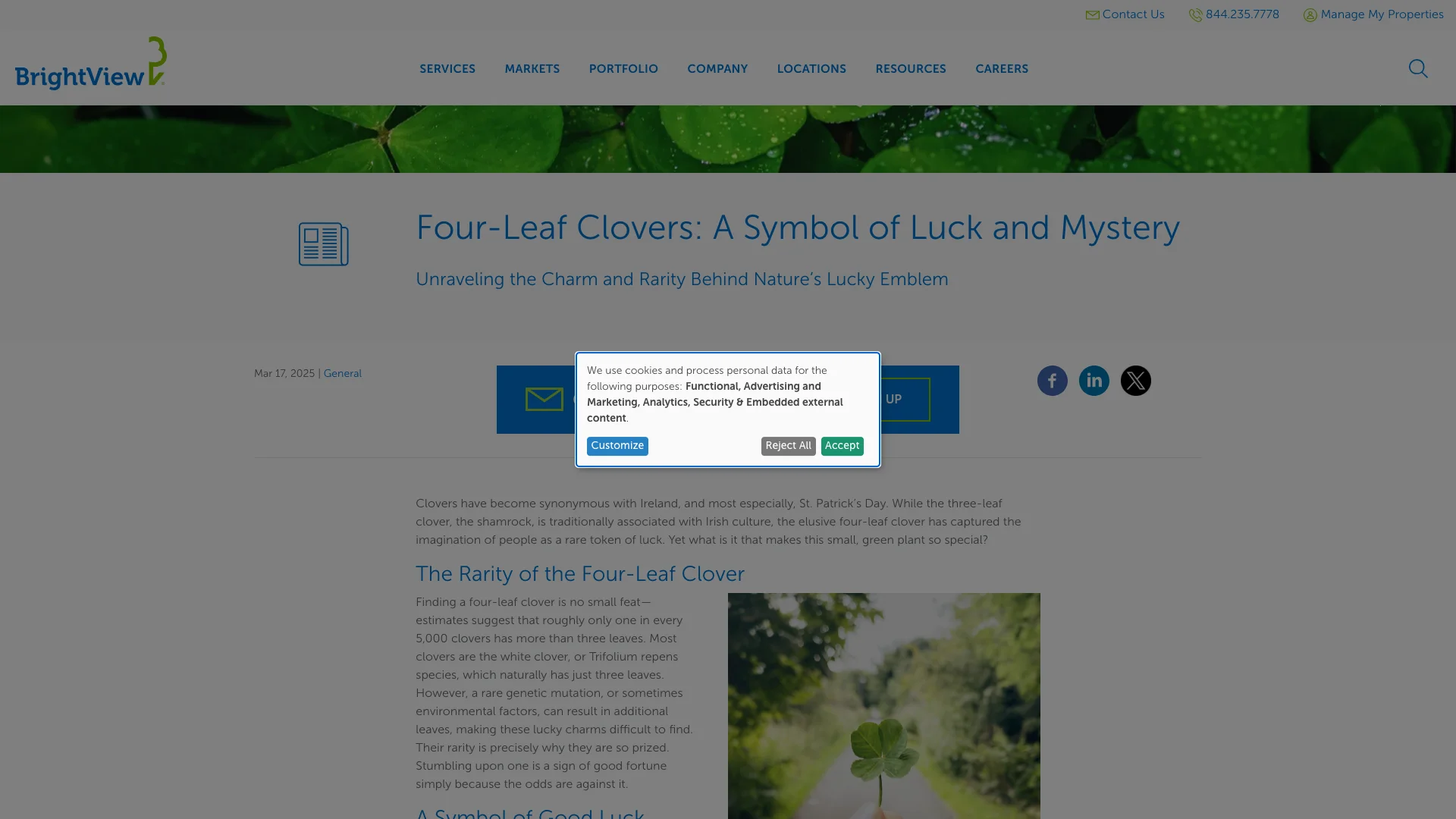 BrightView Tampa FL location page showing the single lead capture form with contact fields and the request a consultation CTA alongside Google Reviews
