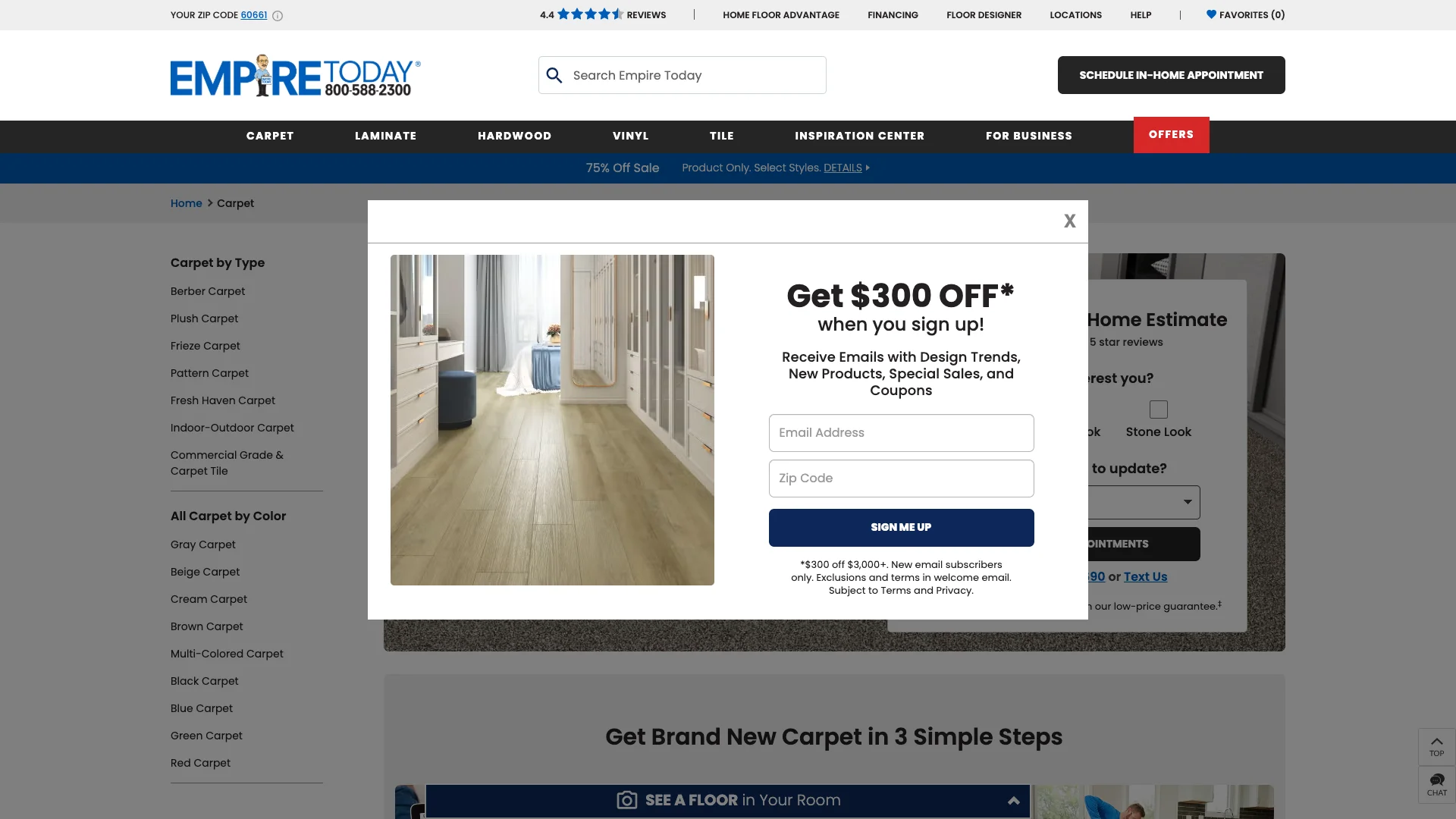 Empire Today carpet page showing product grid with carpet samples, style names, room scene photographs, and product filtering options by color and style