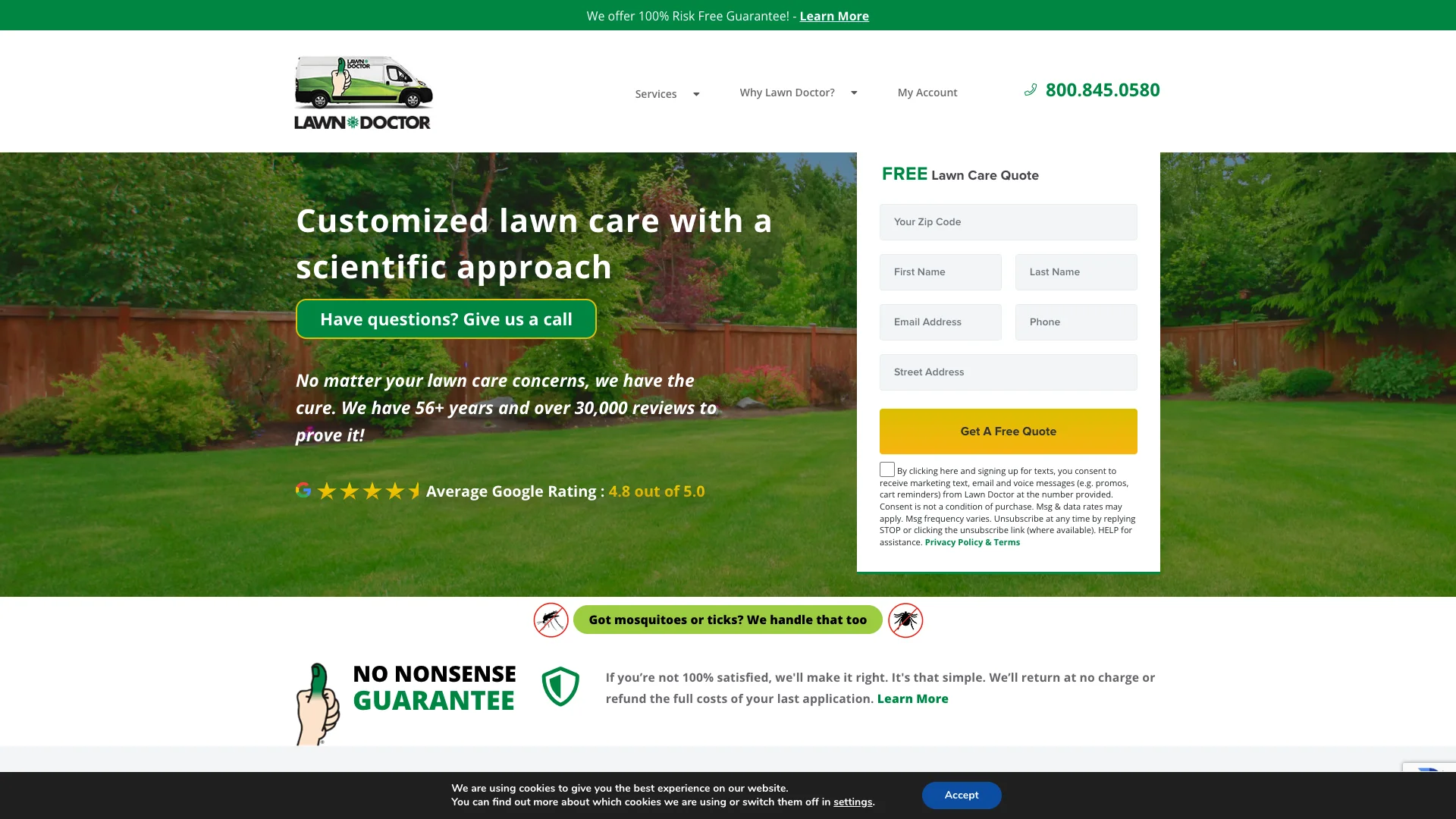 Lawn Doctor homepage hero showing lawn care franchise branding