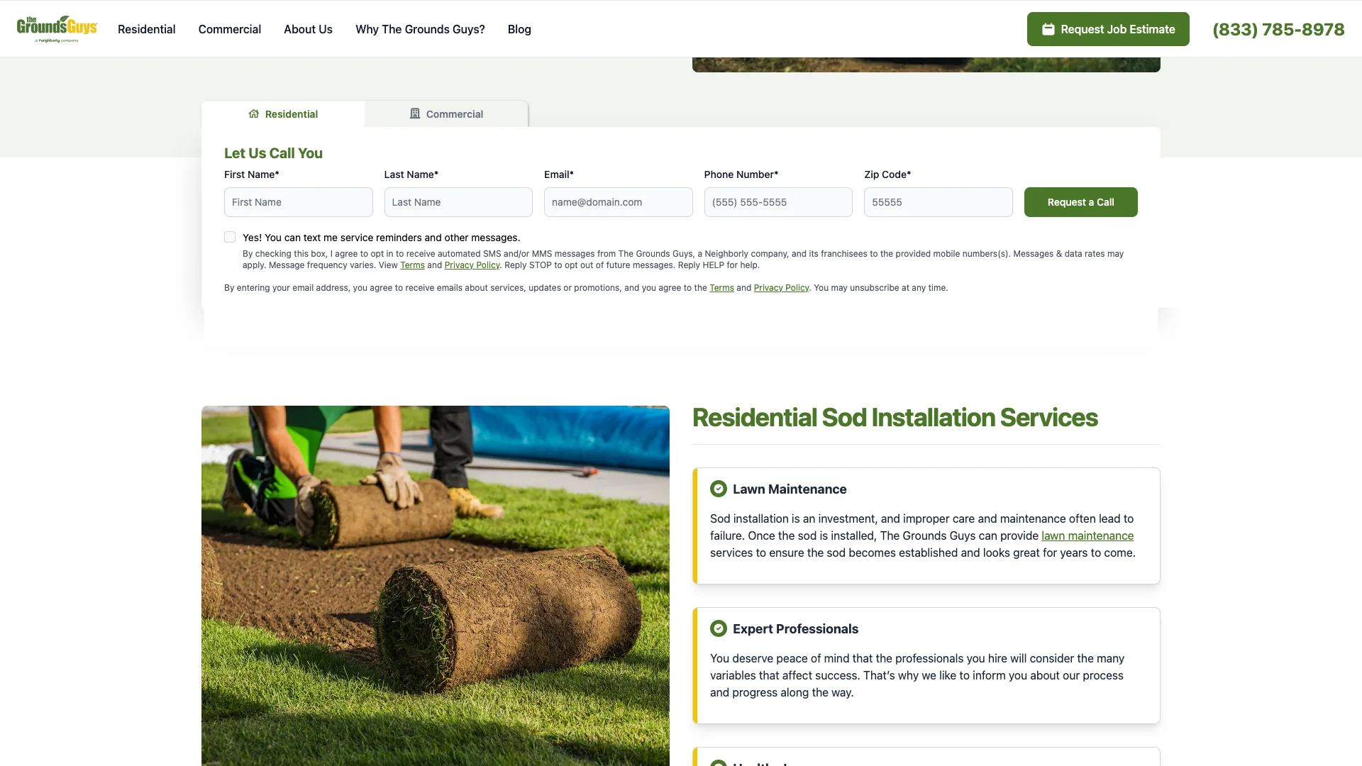 The Grounds Guys spring cleanup page showing the extensive 3,967-word service content with detailed seasonal landscaping information and the form placement throughout