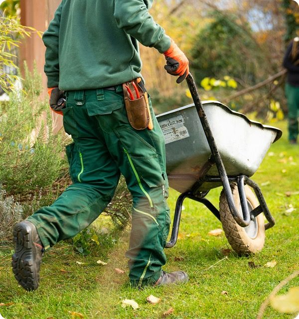 Landscaper pushing a wheelbarrow across a green lawn