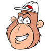 View Reliable Roofing inspection